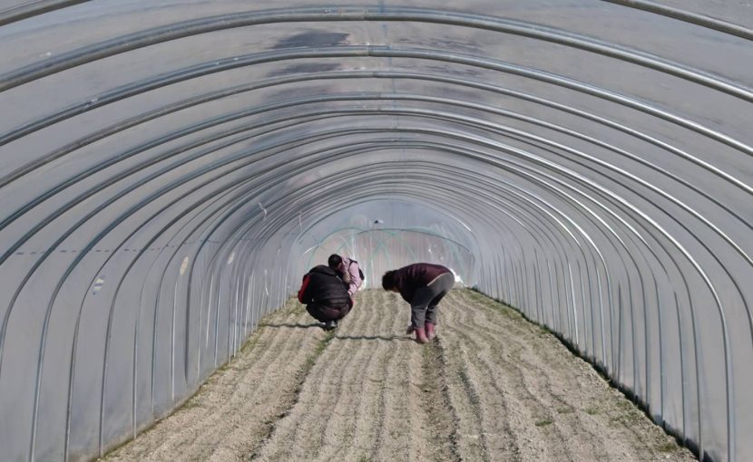 クローバー・ゆきかぜ便り Vol.9